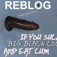 Reblog if you suck big black cock and eat cum